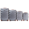 Zestaw 4 walizek Wings Albatross SILVER WHITE