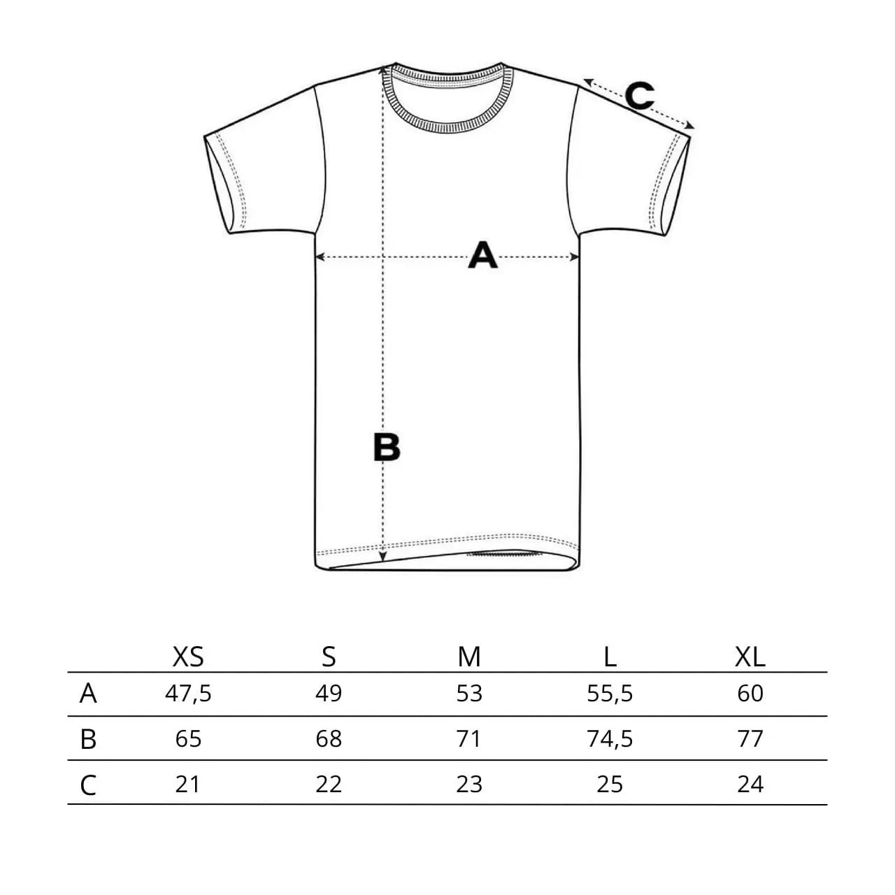 T-shirt OVERSIZE z printem Wings x Paprocki & Brzozowski UNISEX WINGS X PAPROCKI BRZOZOWSKI