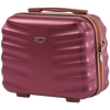 Kuferek Wings Albatross kosmetyczka 14" WINE RED