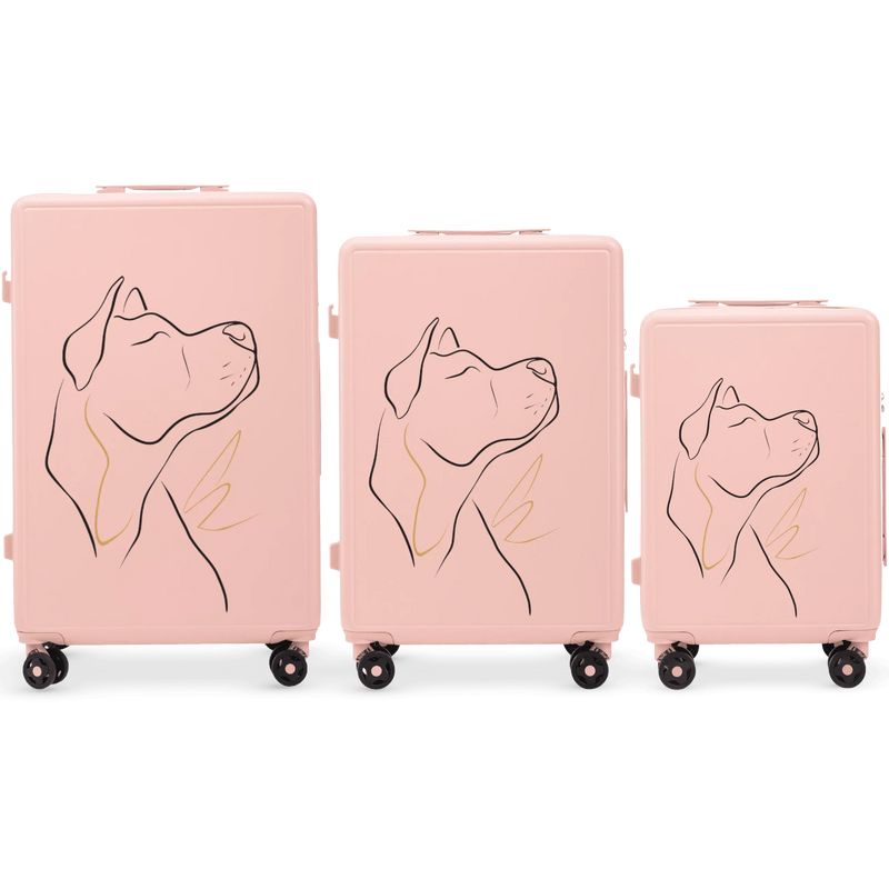 Komplet 3 WALIZEK Wings ABS+ Customized SOFT PINK DOG