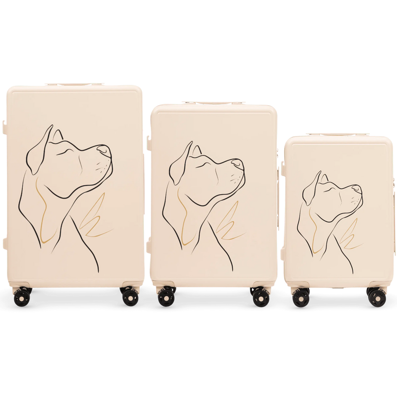 Komplet 3 WALIZEK Wings ABS+ Customized DIRTY WHITE DOG