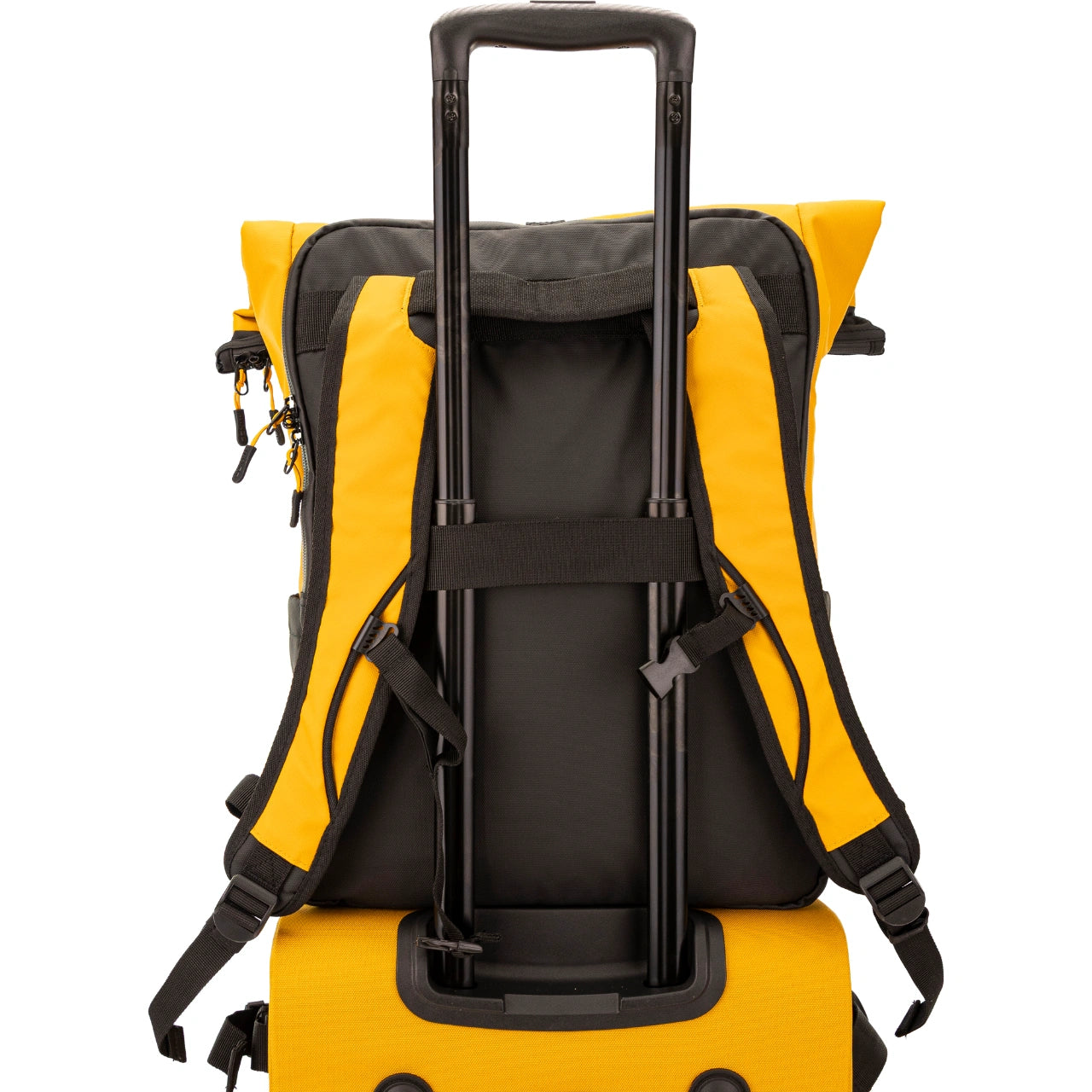 WINGS Plecak podróżny zwijany 29 L ROOK dark yellow ROOK COLLECTION