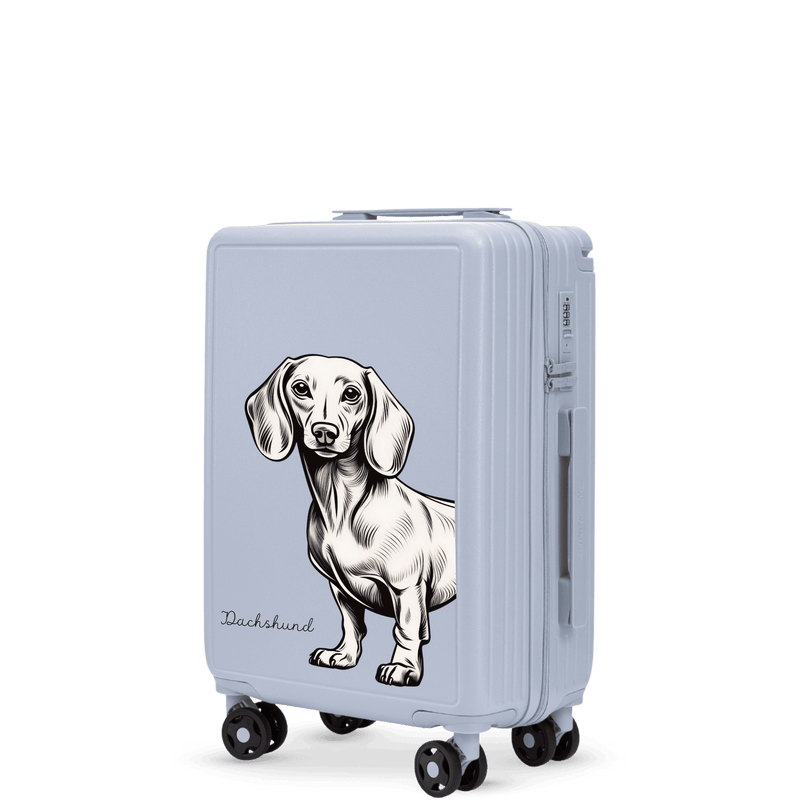 Walizka kabinowa Wings ABS+ 20" Customized  PASTEL BLUE JAMNIK