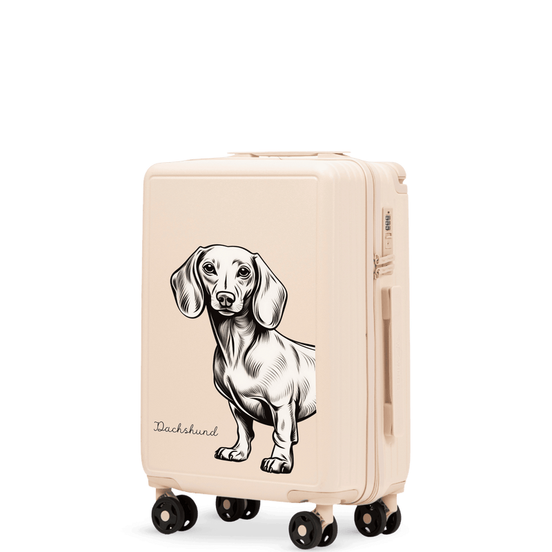 Walizka kabinowa Wings ABS+ 20" Customized  DIRTY WHITE JAMNIK