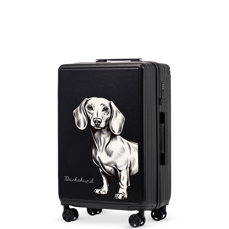 Walizka kabinowa Wings ABS+ 20" Customized  BLACK JAMNIK