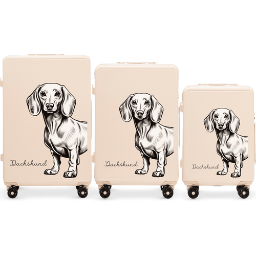 Komplet 3 WALIZEK Wings ABS+ Customized DIRTY WHITE JAMNIK