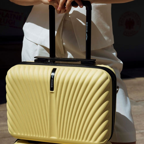 Kuferek WINGS SWAN kosmetyczka 14" ICE CREAM