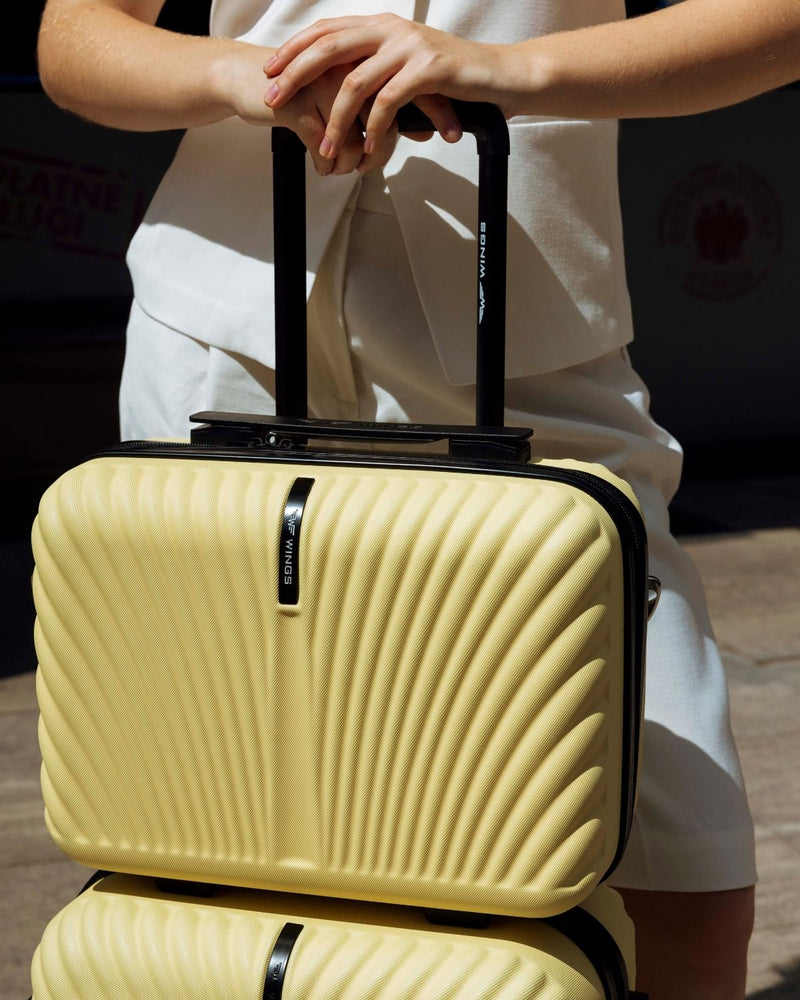 Kuferek WINGS SWAN kosmetyczka 14" ICE CREAM